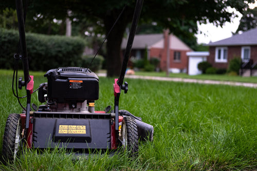 Set It and Forget it Lawn Care (bi-weekly)